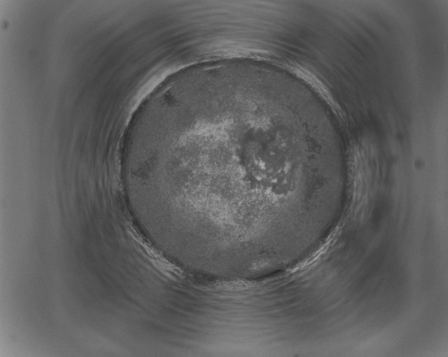 X0000065971023200603061144