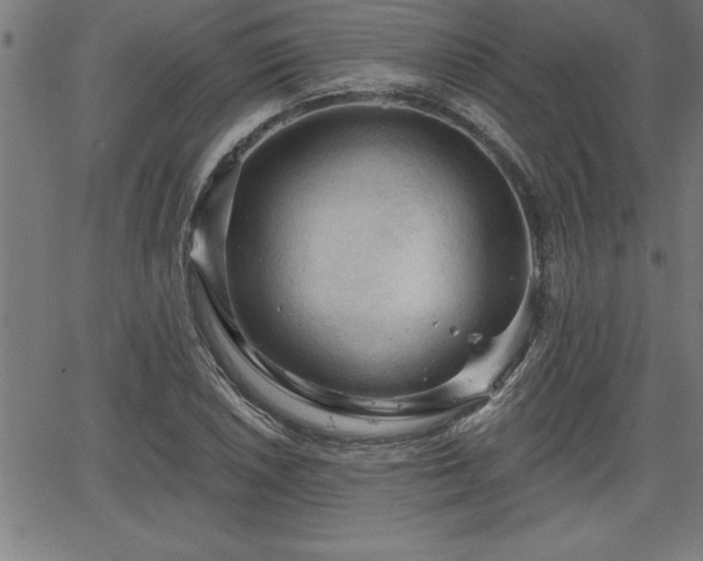 X0000065971026200603061144