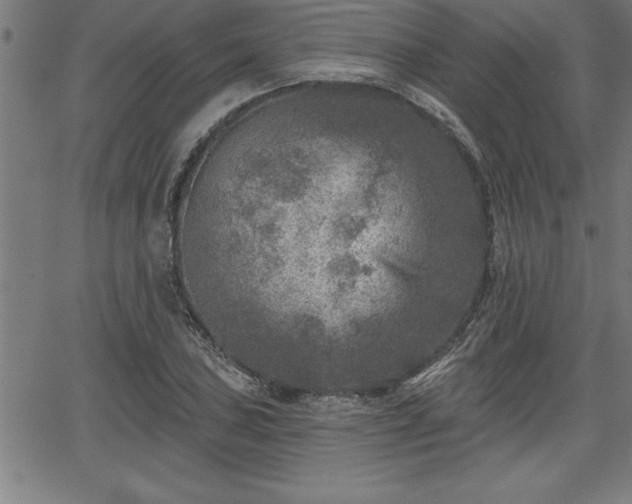 X0000065971027200603061144