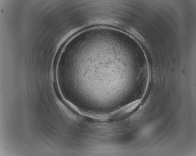 X0000065971028200603061144