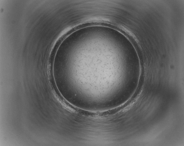 X0000065971029200603061144