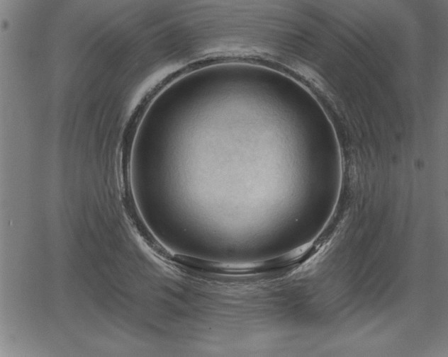 X0000065971030200603061144