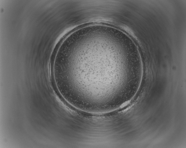 X0000065971032200603061144