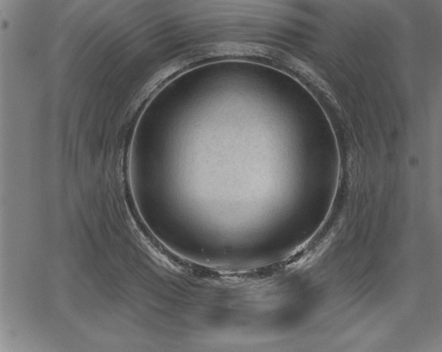 X0000065971033200603061144