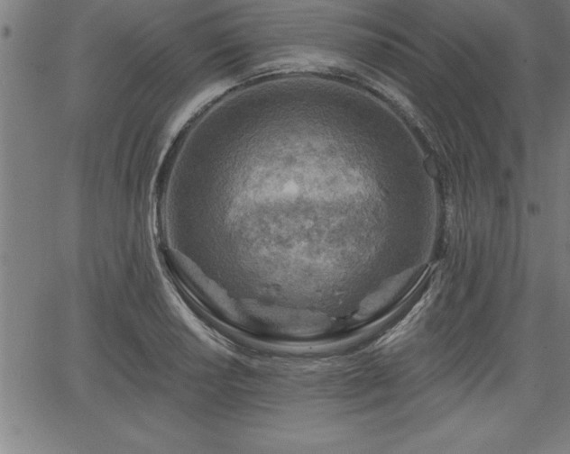 X0000065971034200603061144