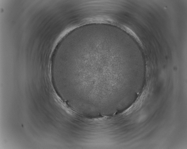 X0000065971035200603061144