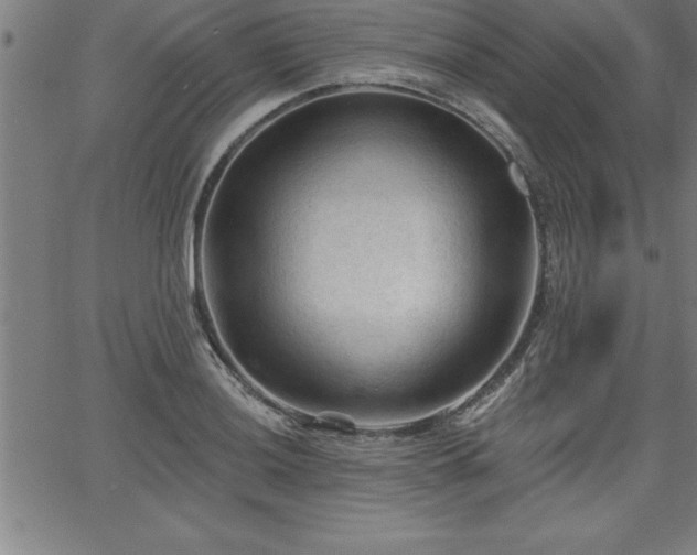 X0000065971036200603061144