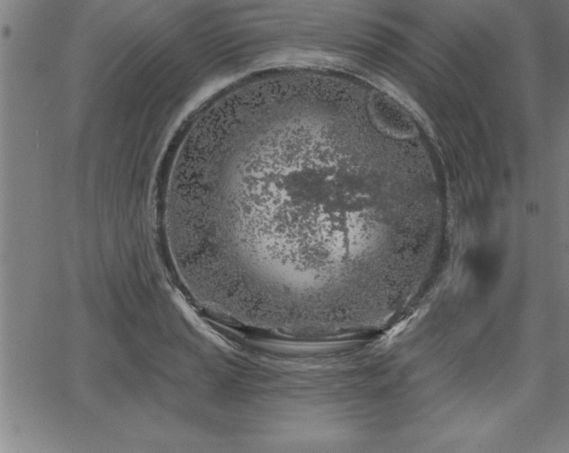 X0000065971037200603061144