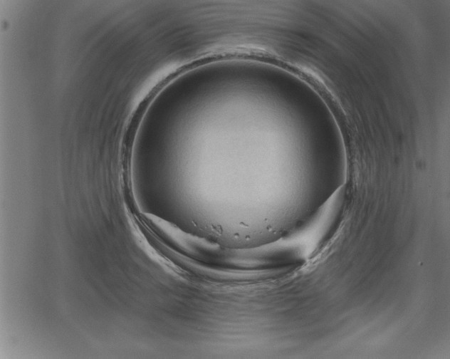 X0000065971038200603061144