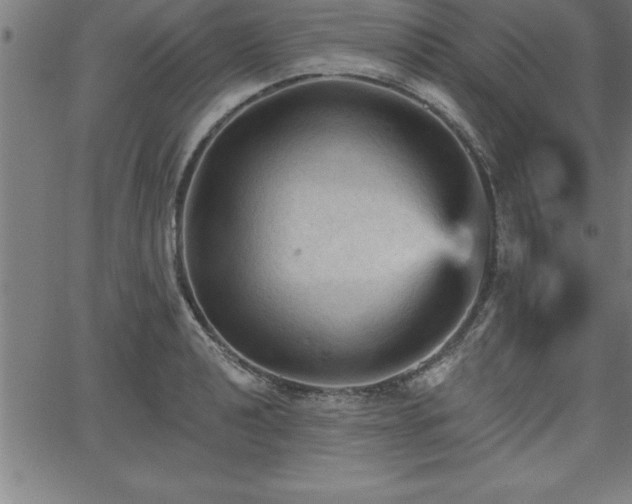 X0000065971040200603061144