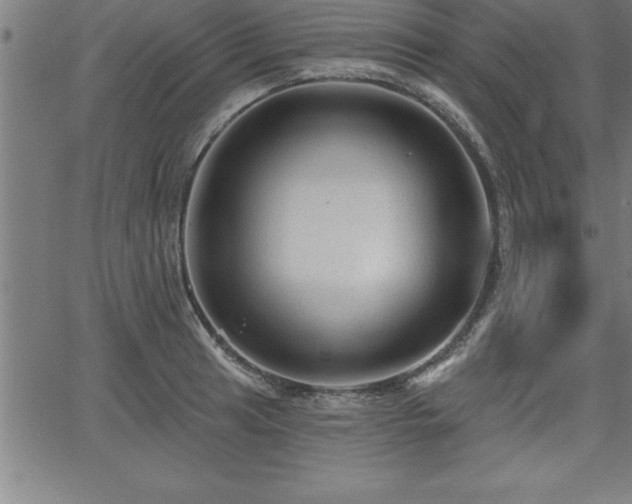 X0000065971041200603061144