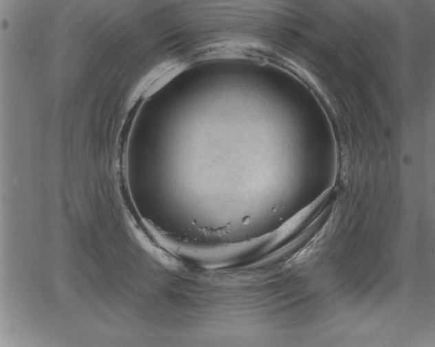 X0000065971042200603061144