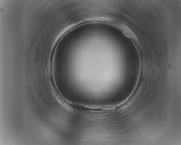 X0000065971044200603061144