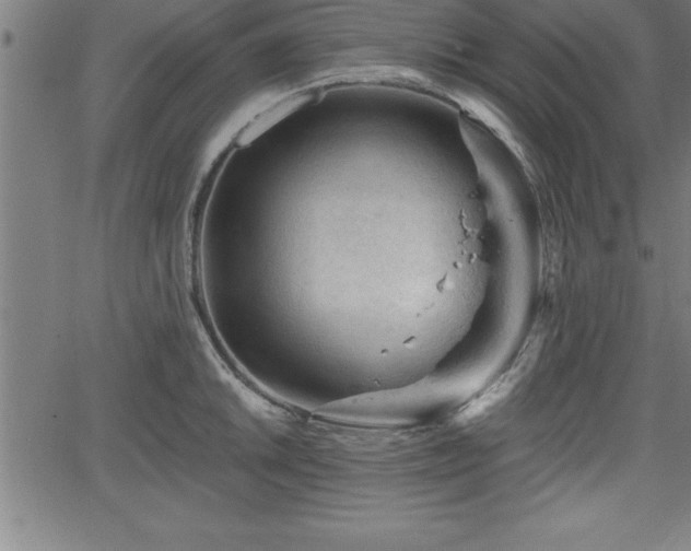 X0000065971046200603061144