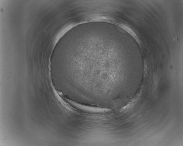 X0000065971047200603061144