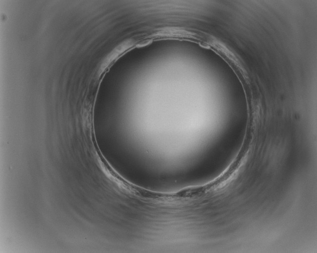 X0000065971049200603061144