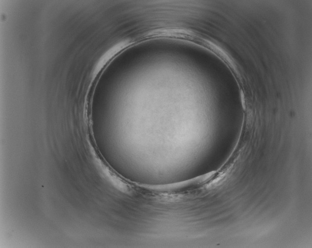 X0000065971050200603061144