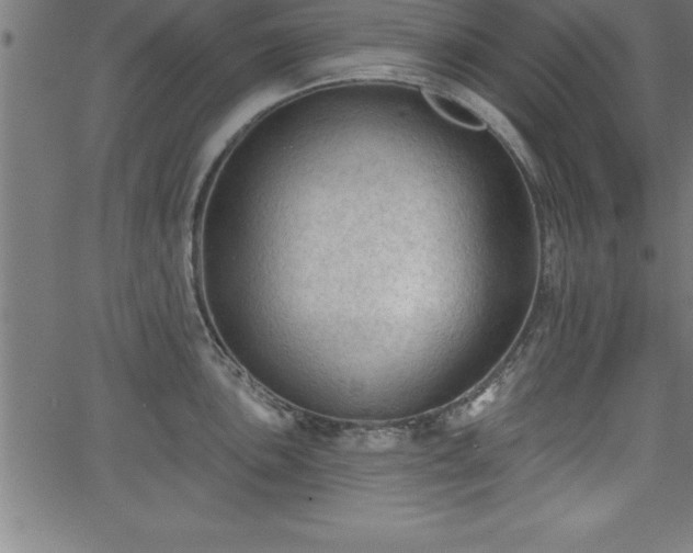 X0000065971051200603061144