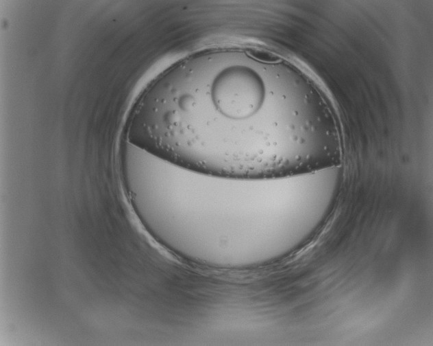 X0000065971053200603061144