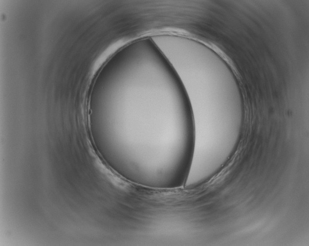 X0000065971054200603061144