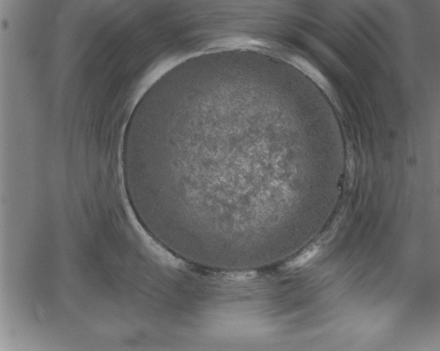 X0000065971055200603061144