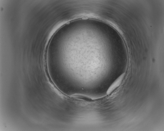 X0000065971056200603061144