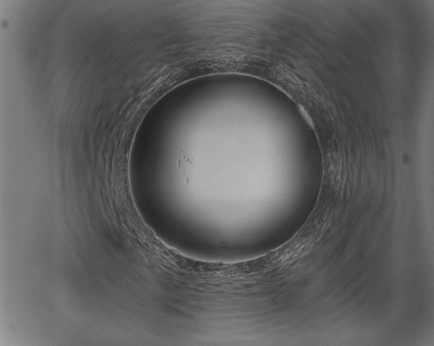 X0000065971057200603061144