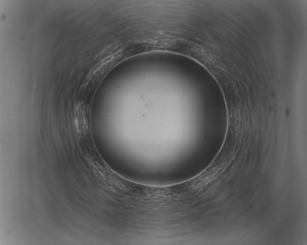 X0000065971058200603061144