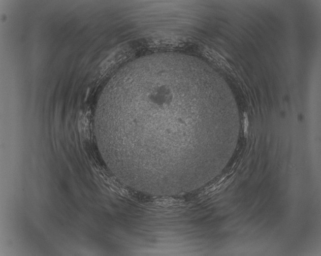 X0000065971059200603061144