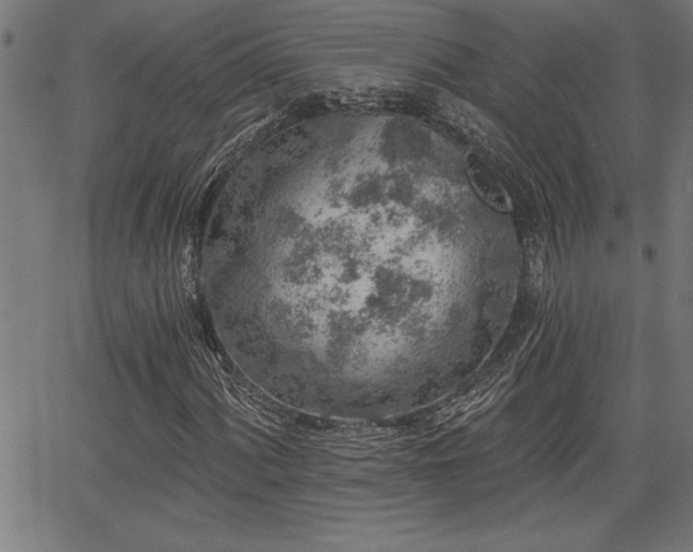 X0000065971060200603061144