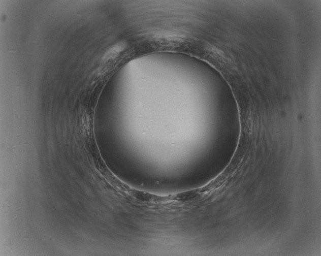 X0000065971061200603061144