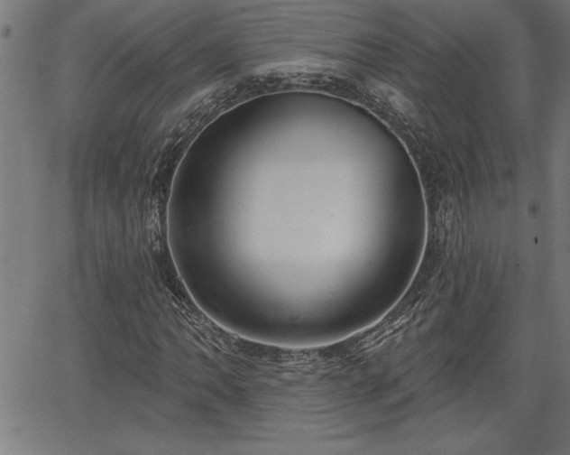 X0000065971062200603061144