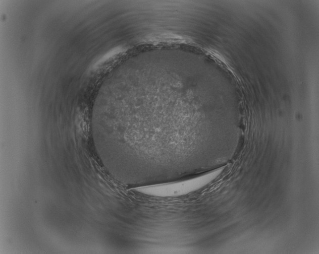 X0000065971063200603061144