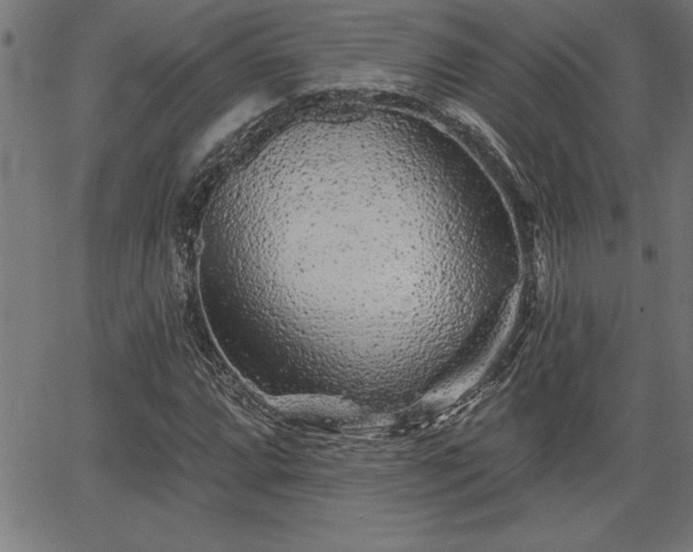 X0000065971064200603061144