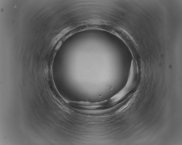 X0000065971065200603061144