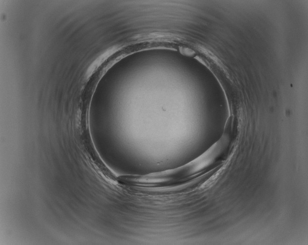 X0000065971066200603061144