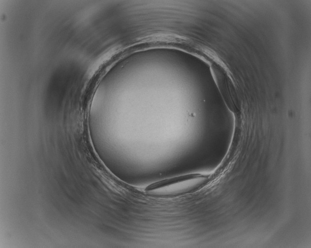 X0000065971067200603061144