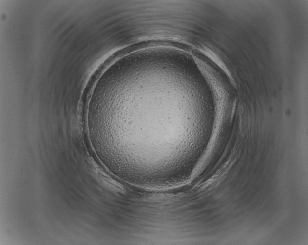 X0000065971068200603061144