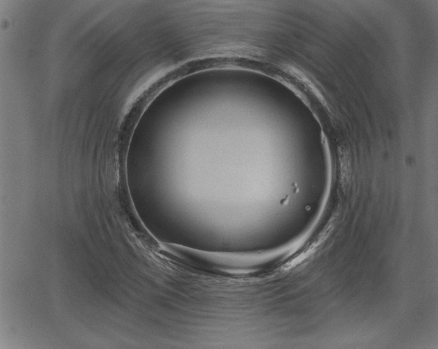 X0000065971069200603061144