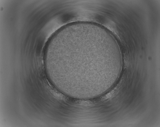 X0000065971070200603061144