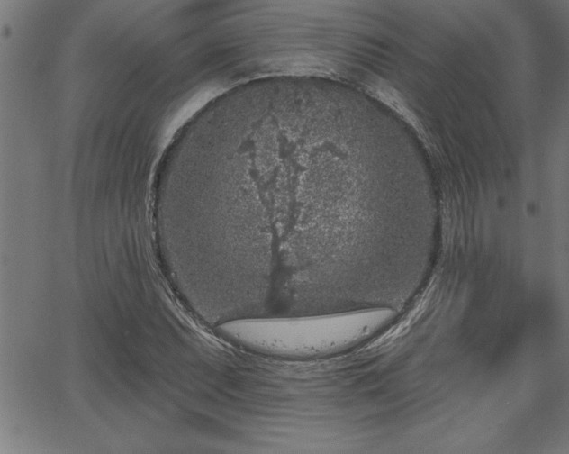 X0000065971071200603061144