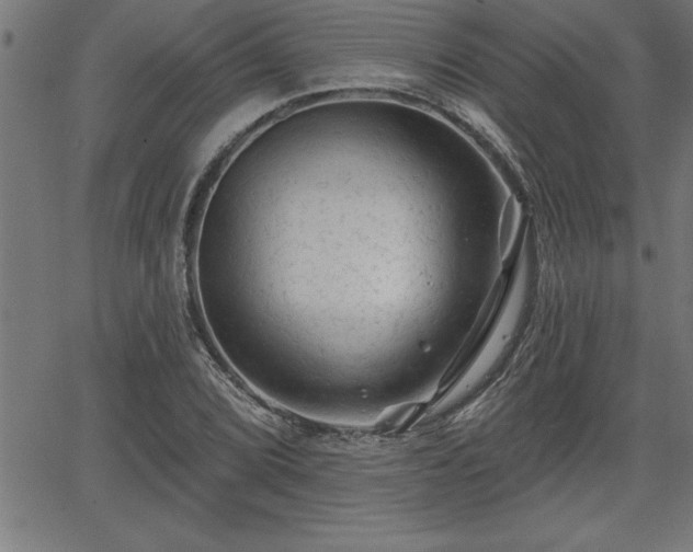 X0000065971072200603061143