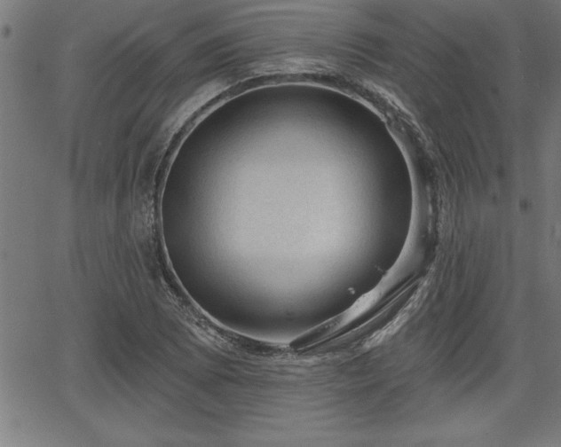 X0000065971073200603061143