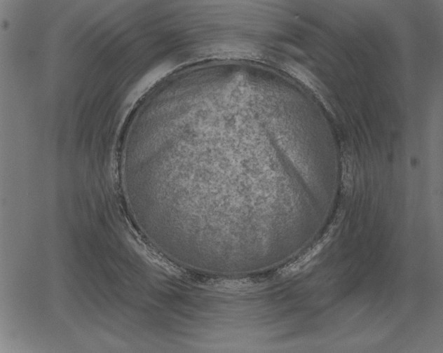 X0000065971074200603061143