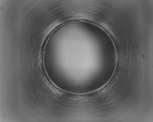 X0000065971076200603061143