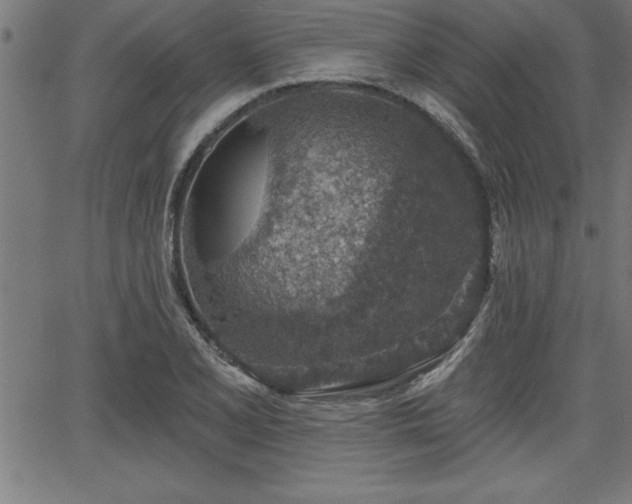 X0000065971077200603061143