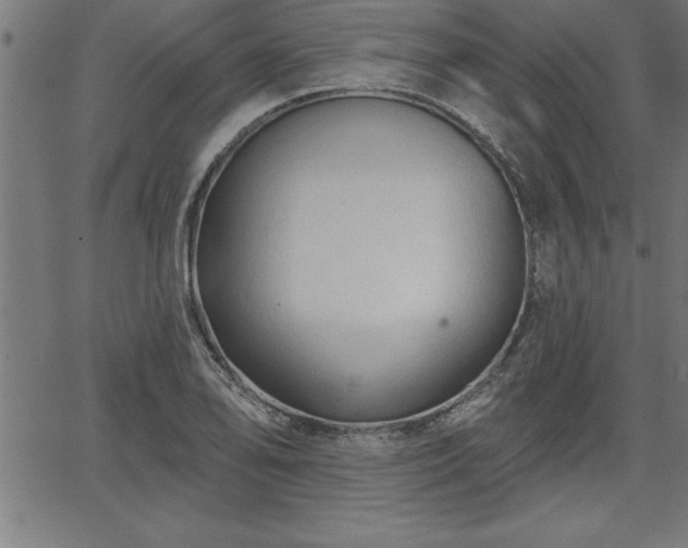 X0000065971078200603061143