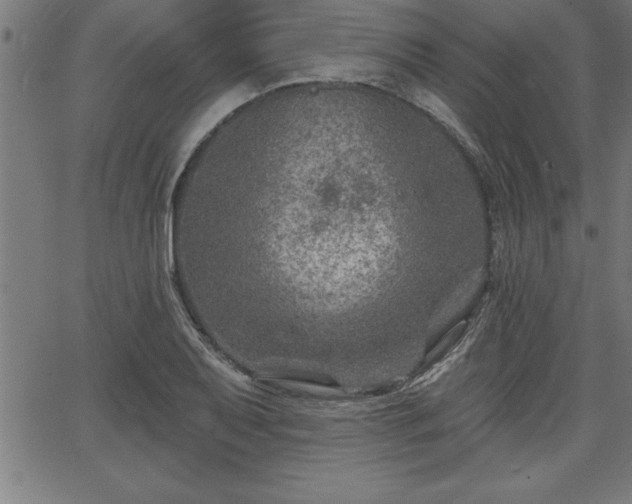 X0000065971079200603061143