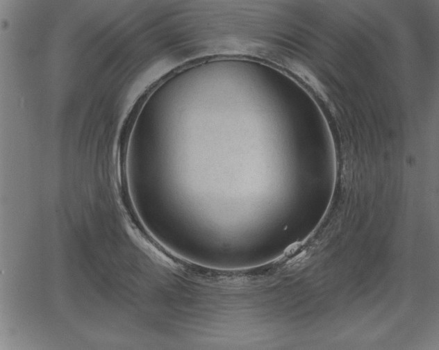 X0000065971080200603061143