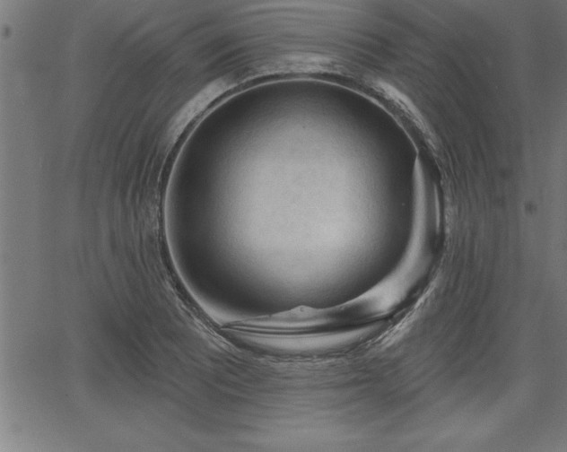 X0000065971081200603061143